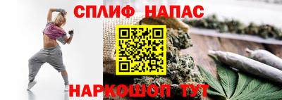 МДПВ Пенза