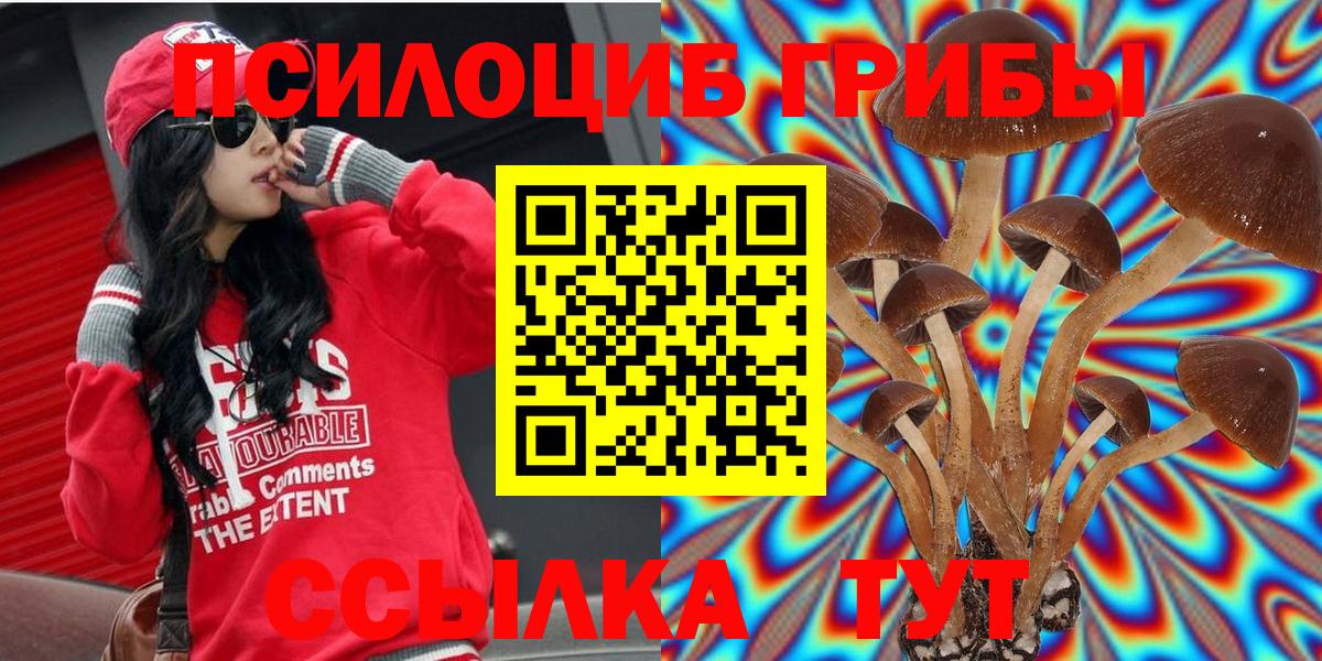 Галлюциногенные грибы MAGIC MUSHROOMS  Вход с VPN  Галлюциногенные грибы мухоморы  Рассказово 